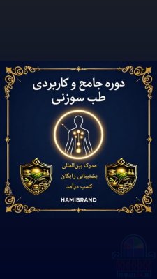 آموزش طب سوزنی