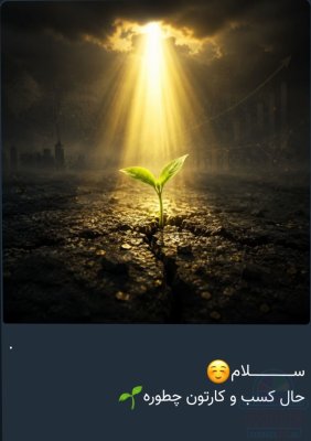 آموزش مجانی اصول نگهداری و تغذیه گیاهان