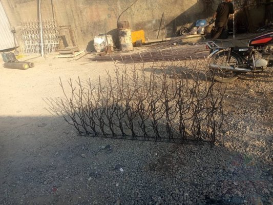 حفاظ شاخ گوزنی وسرنیزه
