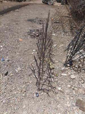 حفاظ شاخ گوزنی وسرنیزه جلو گیری از سرقت