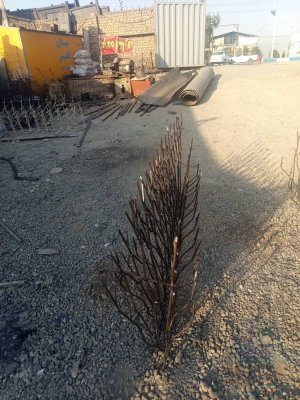 حفاظ شاخ گوزنی وسرنیزه