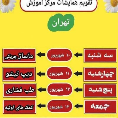 دوره های آمورشی استاد حمیدی پور