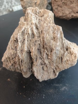 سنگ مخصوص آکواریوم