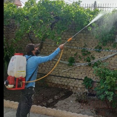 سمپاشی کل تهران وحومه با ضمانت سم‌پاشی وهرس با فاکتور